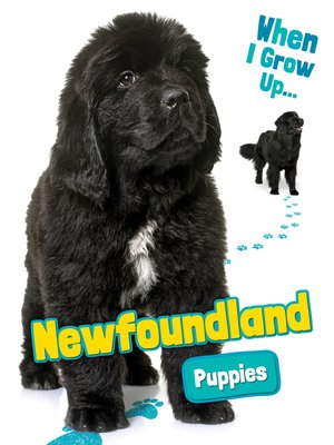 cover image of Newfoundland Puppies